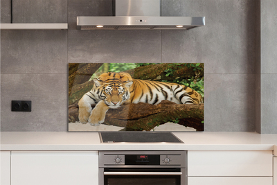 Kitchen Splashback Tiger tree