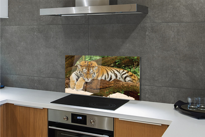 Kitchen Splashback Tiger tree