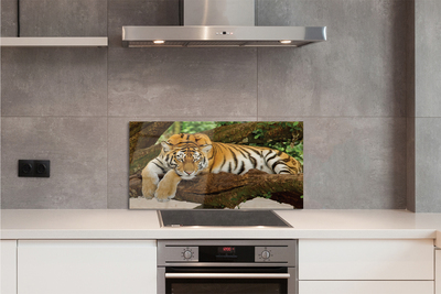 Kitchen Splashback Tiger tree