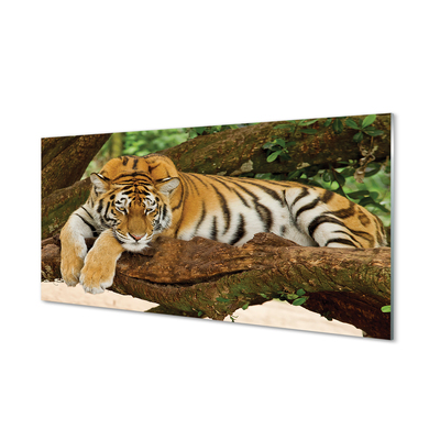 Kitchen Splashback Tiger tree