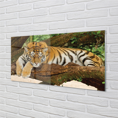 Kitchen Splashback Tiger tree