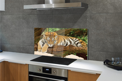 Kitchen Splashback Tiger tree