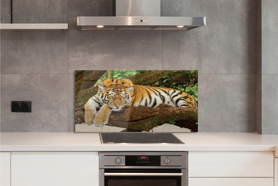 Kitchen Splashback Tiger tree