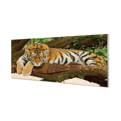 Kitchen Splashback Tiger tree