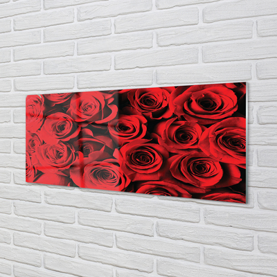 Kitchen Splashback roses