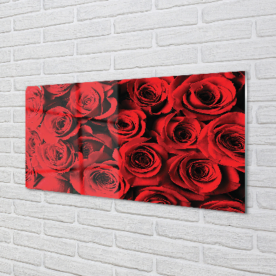 Kitchen Splashback roses