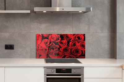 Kitchen Splashback roses