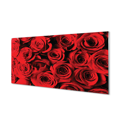 Kitchen Splashback roses