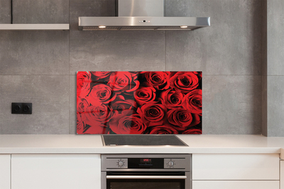 Kitchen Splashback roses