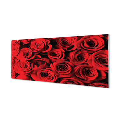 Kitchen Splashback roses