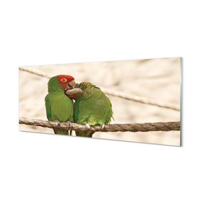 Kitchen Splashback green parrots