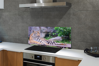 Kitchen Splashback Tiger in a zoo