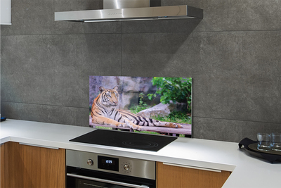 Kitchen Splashback Tiger in a zoo