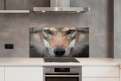 Kitchen Splashback Wolf eyes