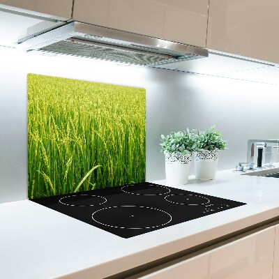 Worktop saver Paddy field