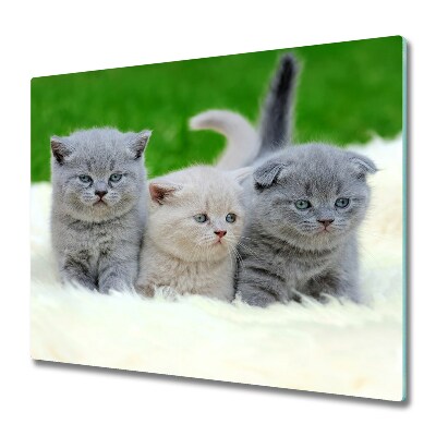 Worktop saver Three cats blanket