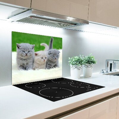 Worktop saver Three cats blanket