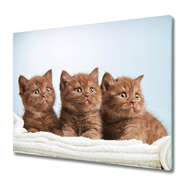 Worktop saver Kitten towel