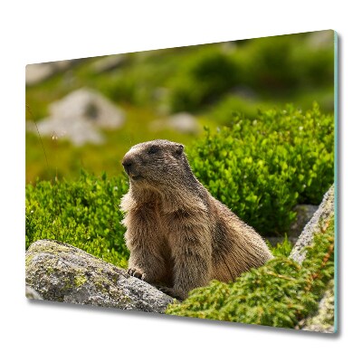 Worktop saver Marmot tatra