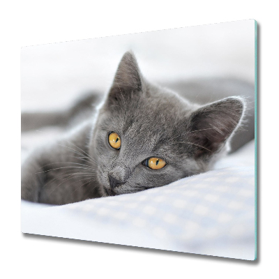 Worktop saver Gray cat