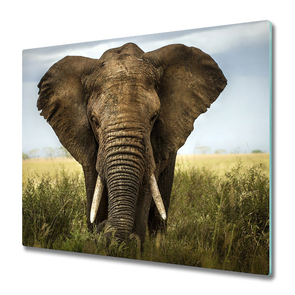 Worktop saver Elephant savanna