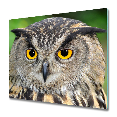 Worktop saver Owl