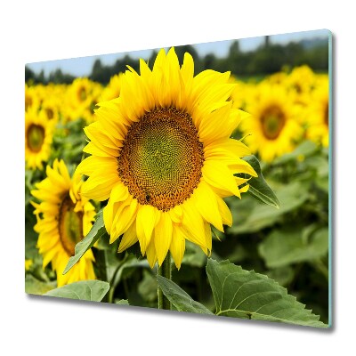 Chopping board Sunflower field