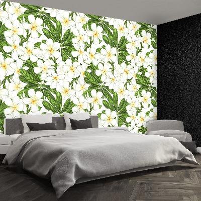 Wallpaper Plumeria flowers