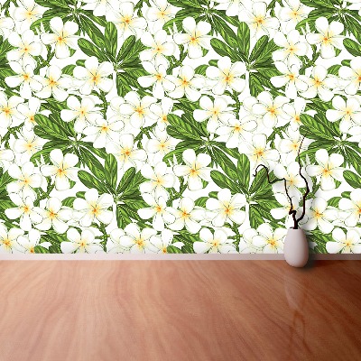 Wallpaper Plumeria flowers