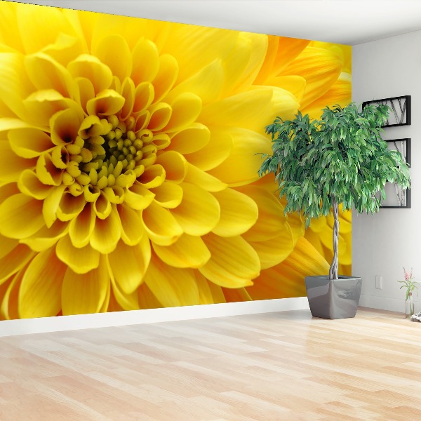 Wallpaper Yellow flower 