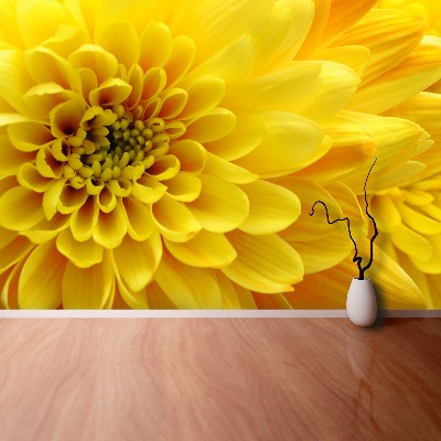 Wallpaper Yellow flower