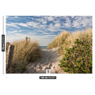 Wallpaper Path through the dunes