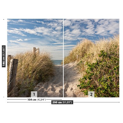 Wallpaper Path through the dunes