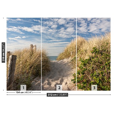 Wallpaper Path through the dunes