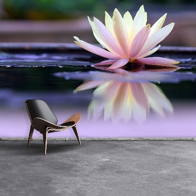 Wallpaper Lotus