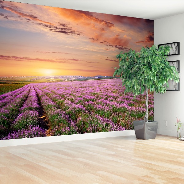 Wallpaper Lavender field