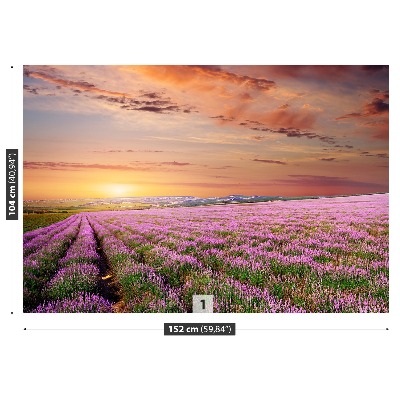 Wallpaper Lavender field