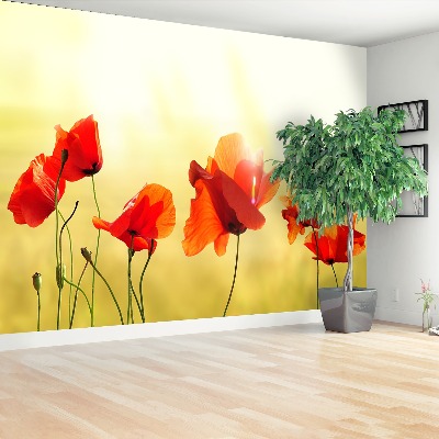 Wallpaper Poppy seed