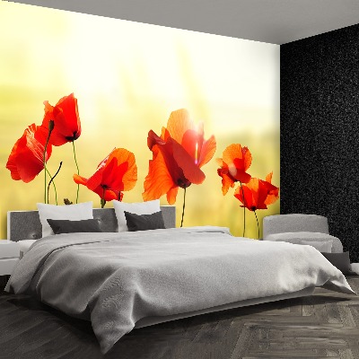 Wallpaper Poppy seed