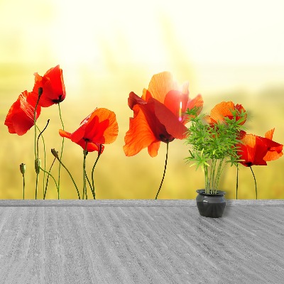 Wallpaper Poppy seed