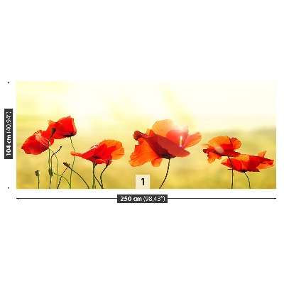 Wallpaper Poppy seed