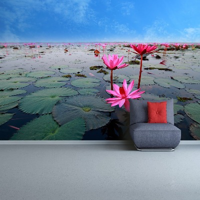 Wallpaper Lotus flower