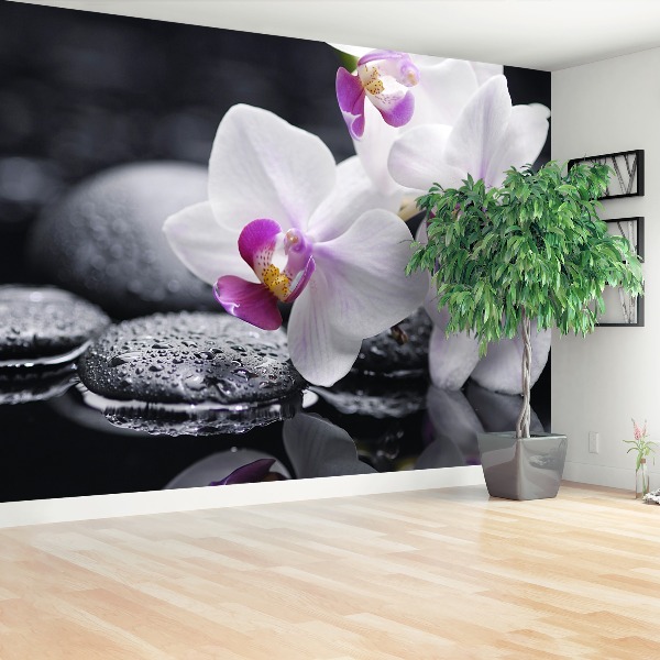 Wallpaper Orchid