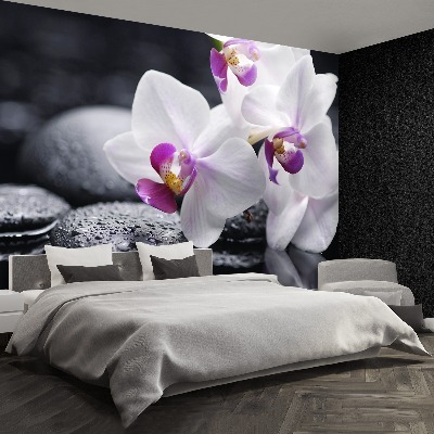 Wallpaper Orchid