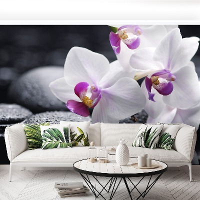 Wallpaper Orchid