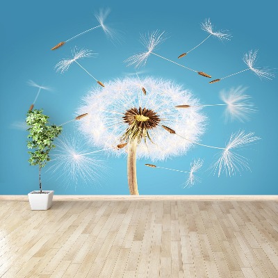 Wallpaper Dandelion