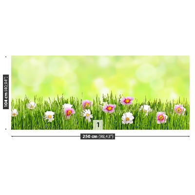 Wallpaper Grass flowers