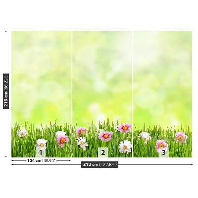 Wallpaper Grass flowers