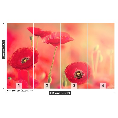 Wallpaper Red poppies