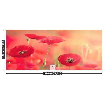 Wallpaper Red poppies